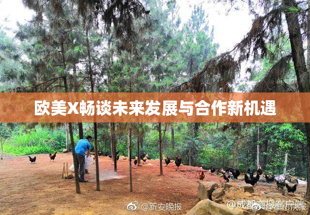 欧美X畅谈未来发展与合作新机遇