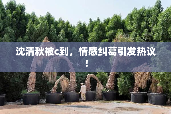 沈清秋被c到，情感纠葛引发热议！