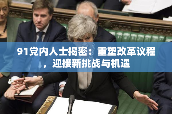 91党内人士揭密：重塑改革议程，迎接新挑战与机遇