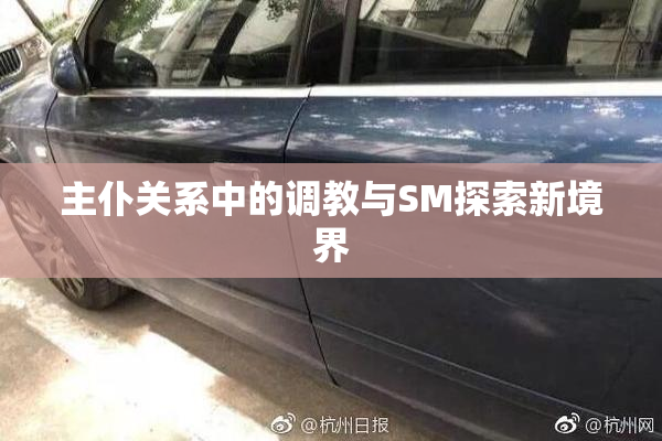 主仆关系中的调教与SM探索新境界