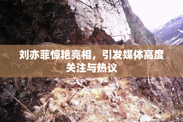 刘亦菲惊艳亮相，引发媒体高度关注与热议