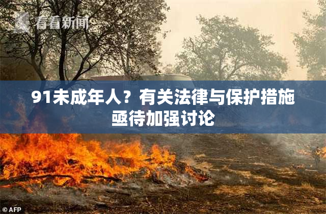 91未成年人？有关法律与保护措施亟待加强讨论