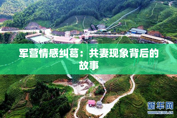 军营情感纠葛：共妻现象背后的故事