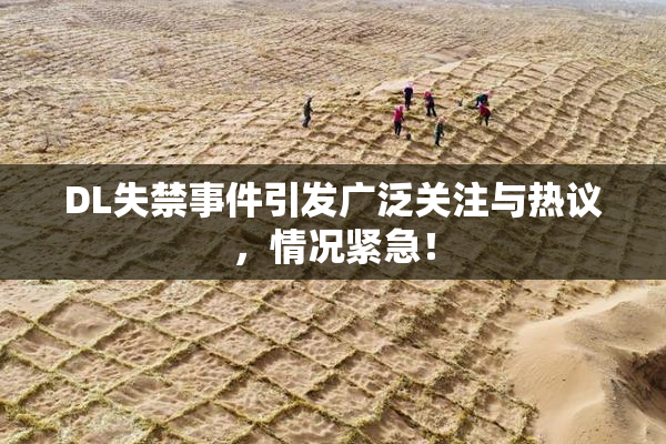 DL失禁事件引发广泛关注与热议，情况紧急！