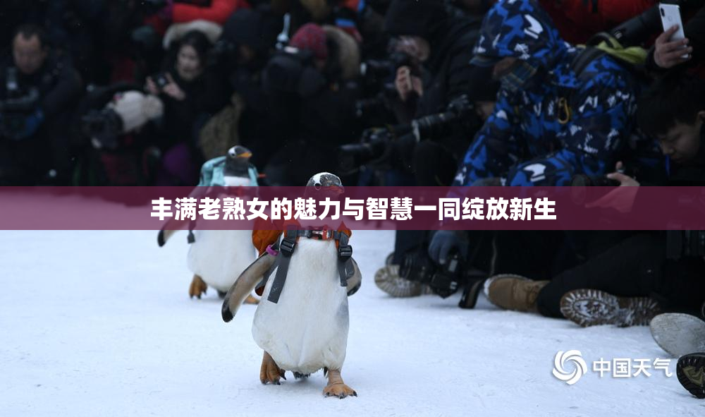 丰满老熟女的魅力与智慧一同绽放新生