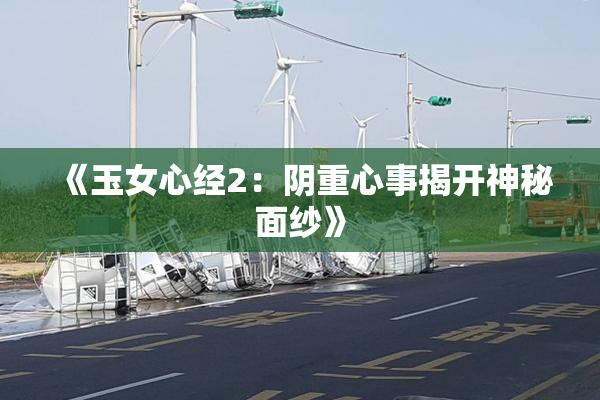《玉女心经2：阴重心事揭开神秘面纱》