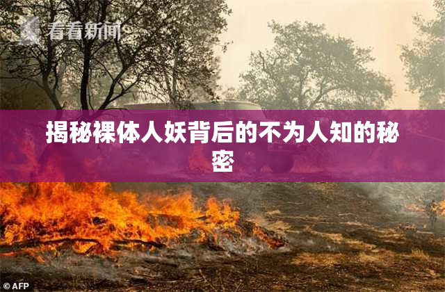 揭秘裸体人妖背后的不为人知的秘密