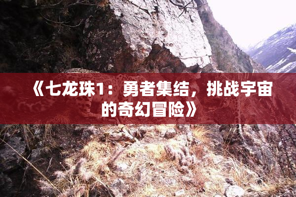 《七龙珠1：勇者集结，挑战宇宙的奇幻冒险》
