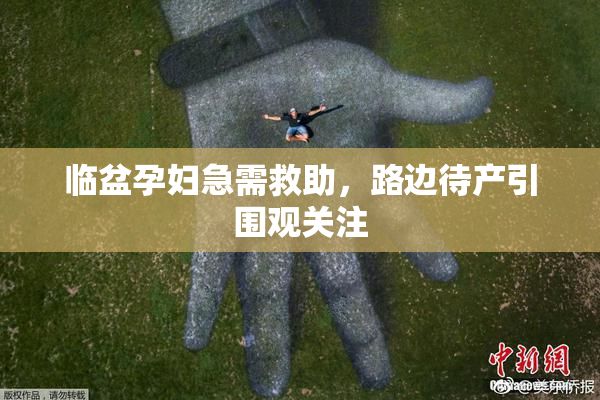 临盆孕妇急需救助，路边待产引围观关注