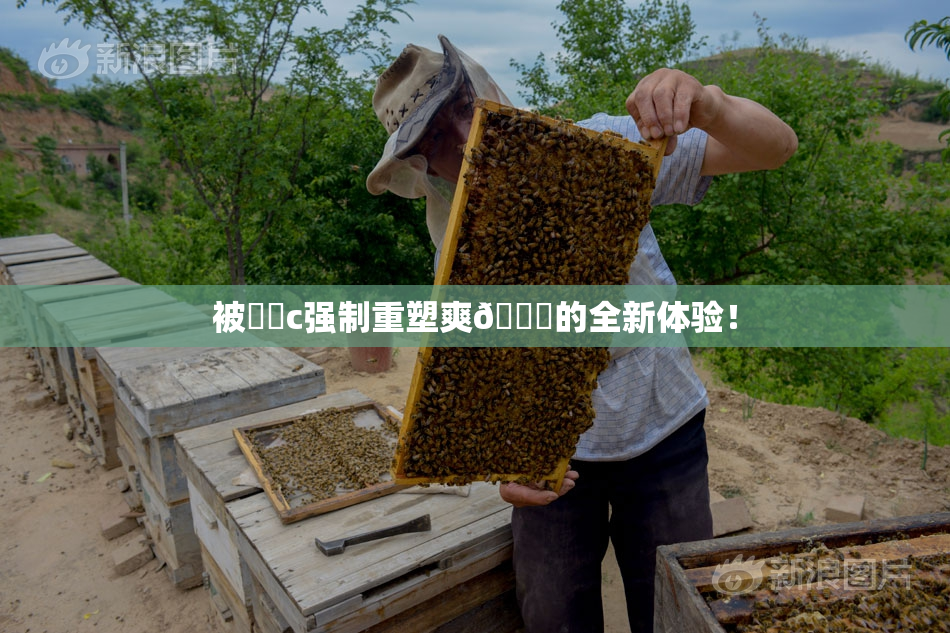 被❌‌c强制重塑爽🔞的全新体验！