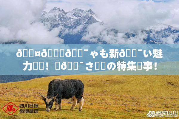 🖤🌃🔯ゃも新🔯い魅力発見！楽🔯さ満載の特集記事！