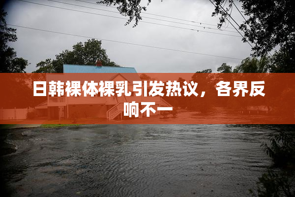 日韩裸体裸乳引发热议，各界反响不一