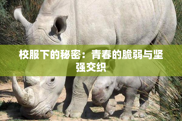 校服下的秘密：青春的脆弱与坚强交织