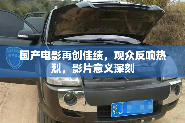 国产电影再创佳绩，观众反响热烈，影片意义深刻