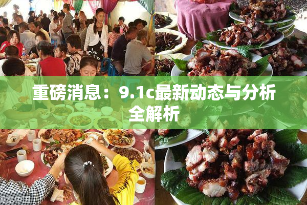 重磅消息：9.1c最新动态与分析全解析
