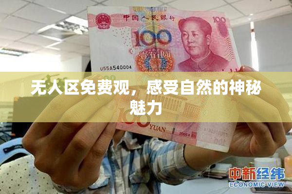 无人区免费观，感受自然的神秘魅力