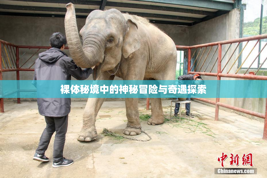 裸体秘境中的神秘冒险与奇遇探索