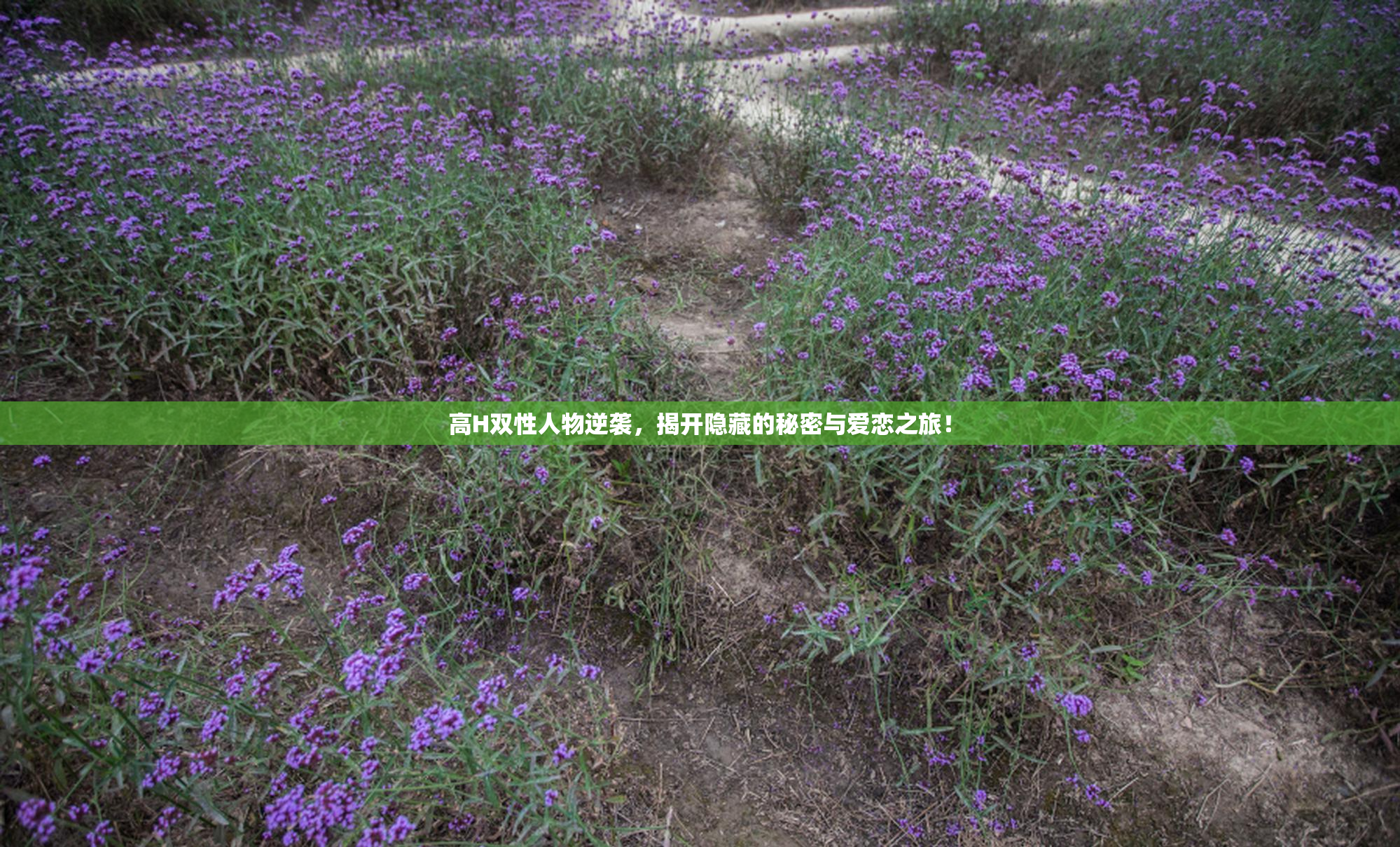 高H双性人物逆袭，揭开隐藏的秘密与爱恋之旅！