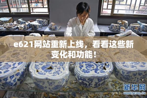 e621网站重新上线，看看这些新变化和功能！