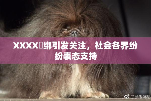 XXXX秵绑引发关注，社会各界纷纷表态支持