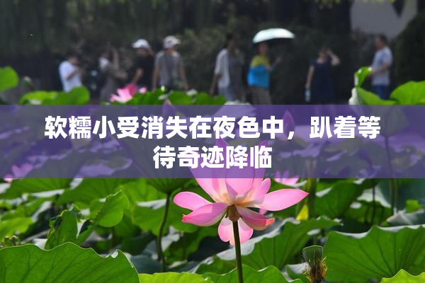 软糯小受消失在夜色中，趴着等待奇迹降临