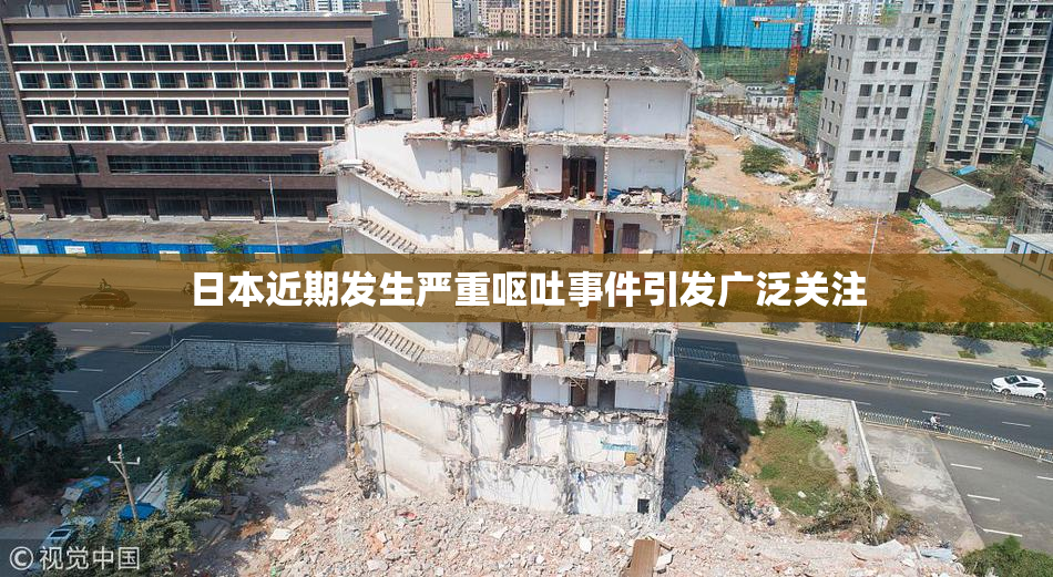 日本近期发生严重呕吐事件引发广泛关注