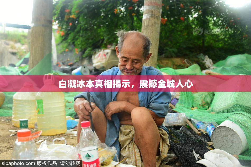 白凝冰本真相揭示，震撼全城人心
