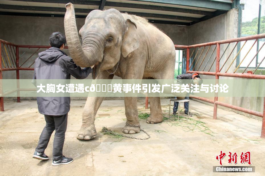 大胸女遭遇c🔞黄事件引发广泛关注与讨论