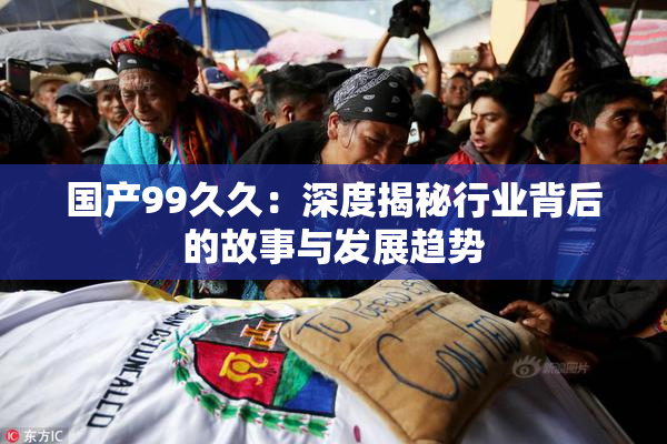 国产99久久：深度揭秘行业背后的故事与发展趋势