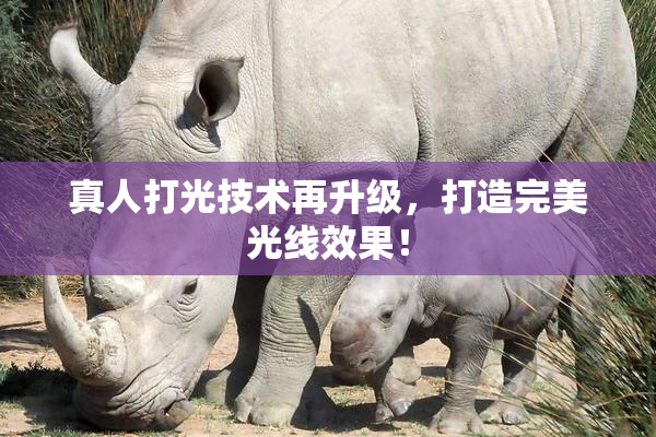 真人打光技术再升级，打造完美光线效果！