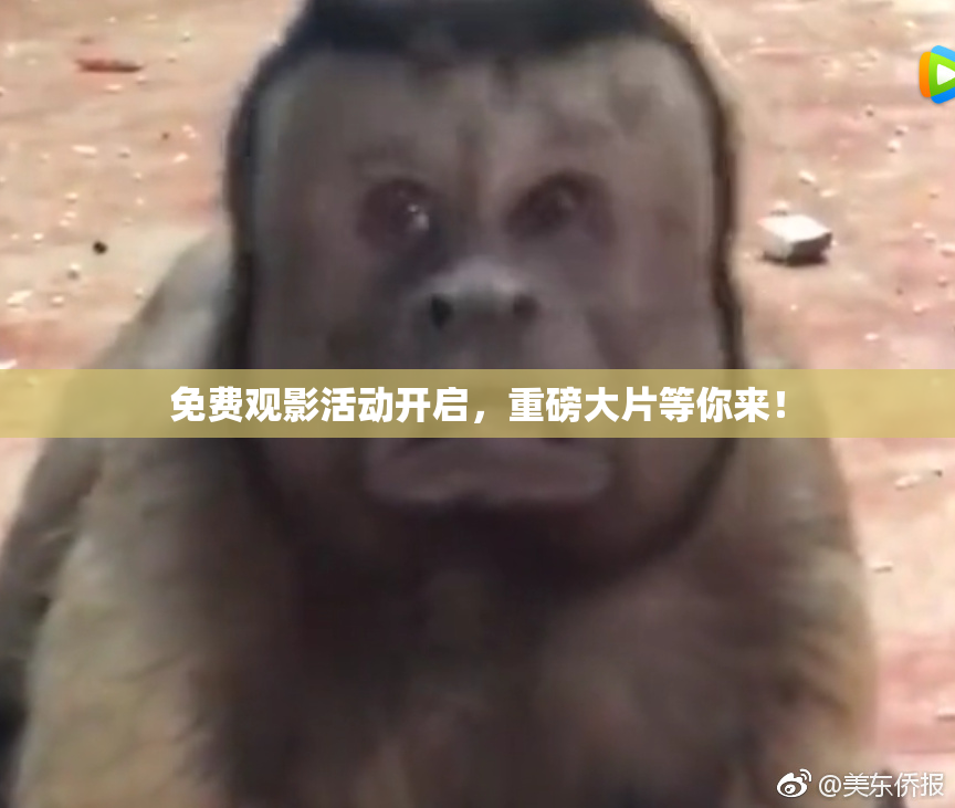 免费观影活动开启，重磅大片等你来！