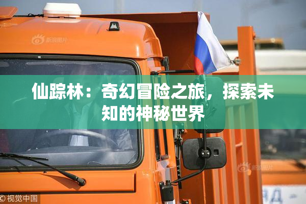 仙踪林：奇幻冒险之旅，探索未知的神秘世界