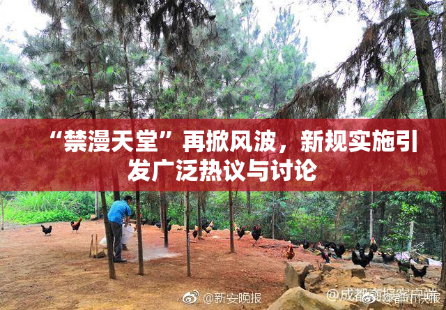 “禁漫天堂”再掀风波，新规实施引发广泛热议与讨论
