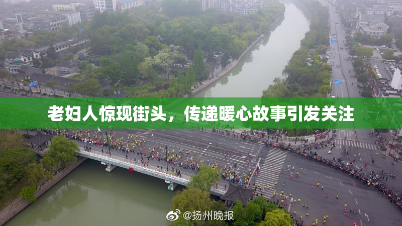 老妇人惊现街头，传递暖心故事引发关注