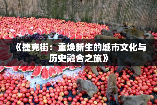 《捷克街：重焕新生的城市文化与历史融合之旅》