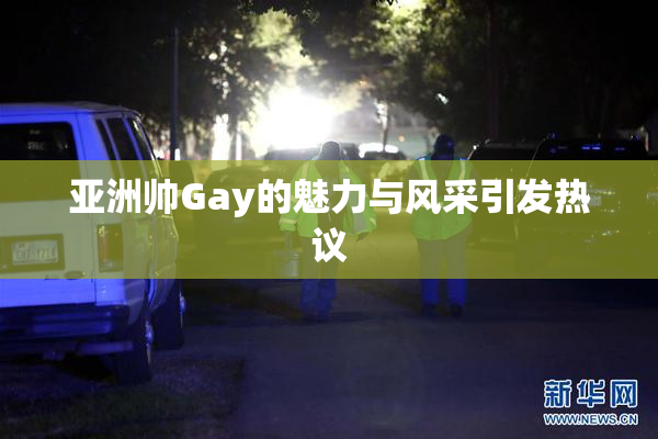 亚洲帅Gay的魅力与风采引发热议