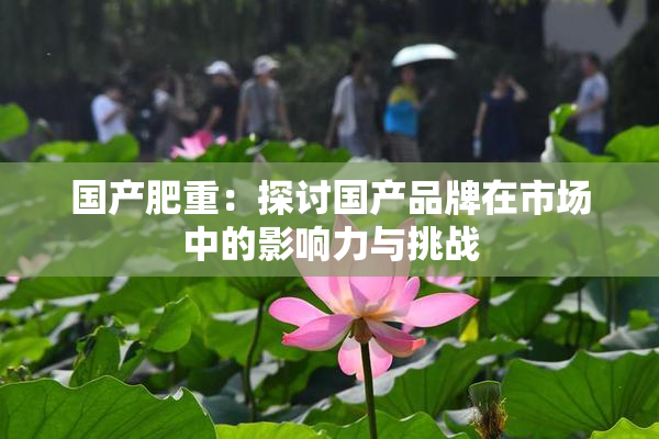 国产肥重：探讨国产品牌在市场中的影响力与挑战