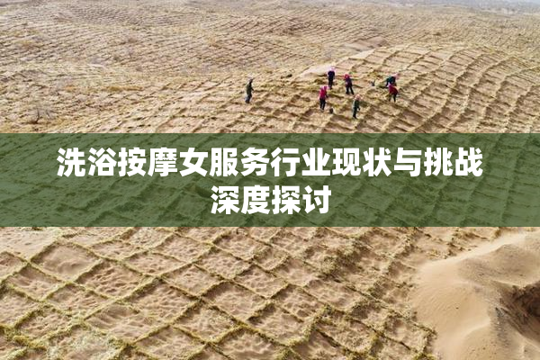 洗浴按摩女服务行业现状与挑战深度探讨