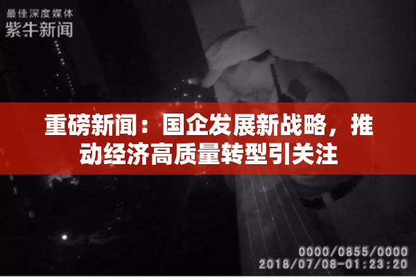 重磅新闻：国企发展新战略，推动经济高质量转型引关注