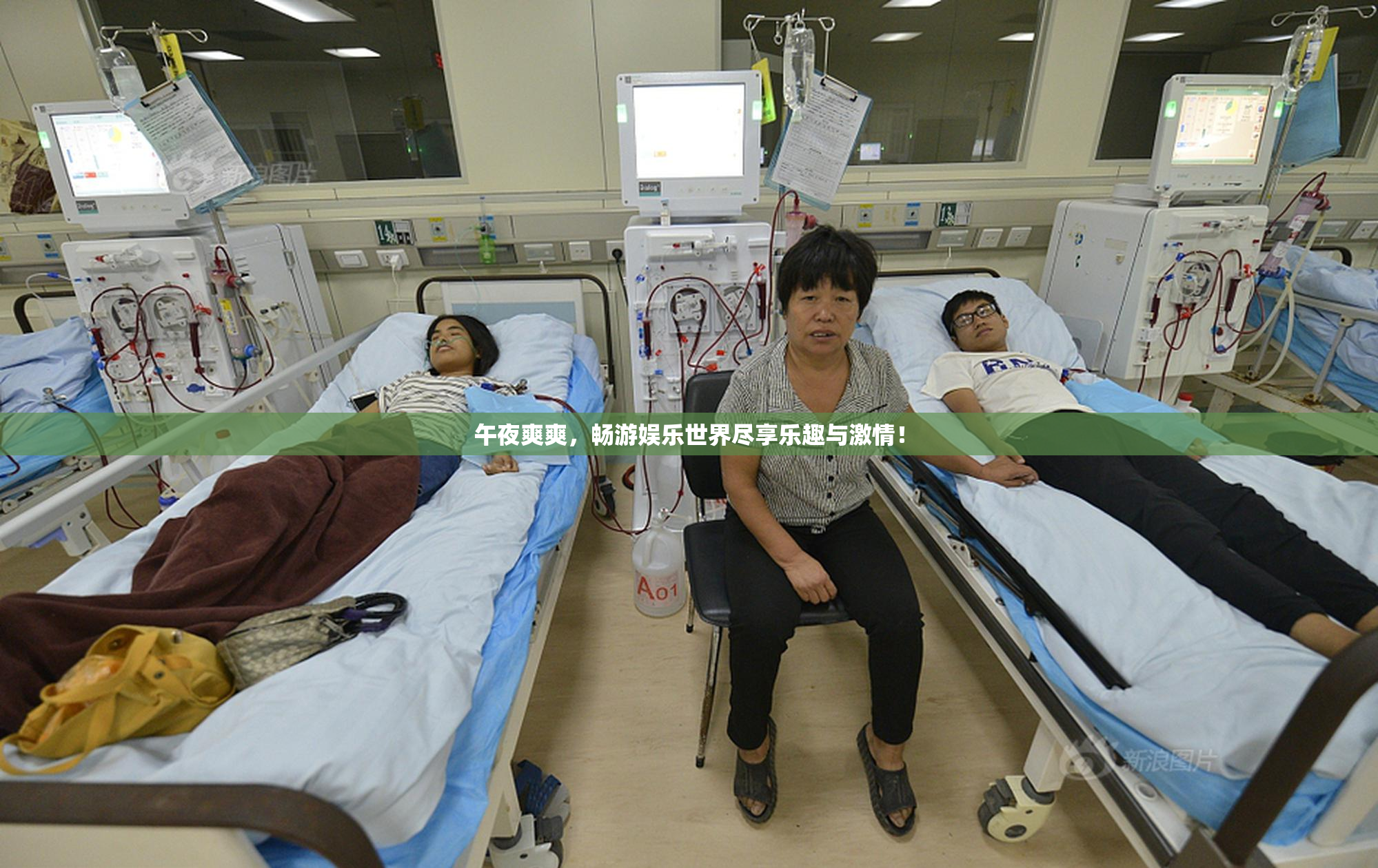 午夜爽爽，畅游娱乐世界尽享乐趣与激情！