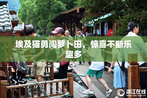 埃及猫勇闯萝卜田，惊喜不断乐趣多
