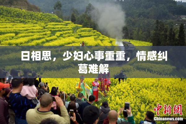 日相思，少妇心事重重，情感纠葛难解