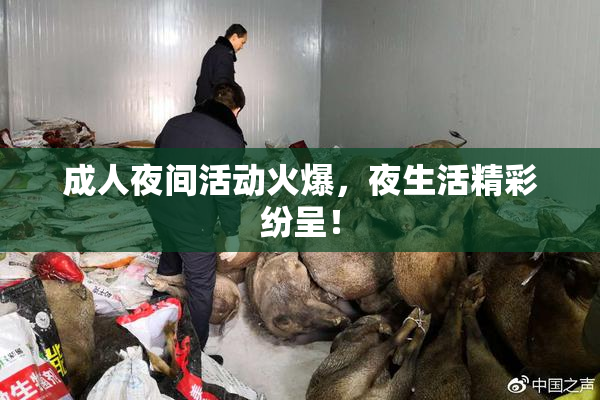 成人夜间活动火爆，夜生活精彩纷呈！