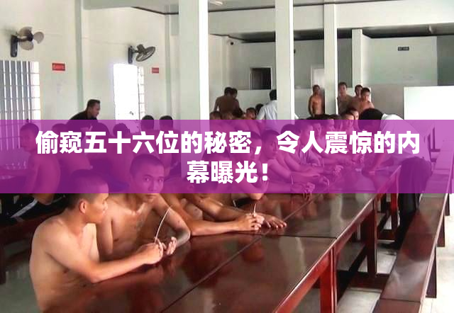 偷窥五十六位的秘密，令人震惊的内幕曝光！