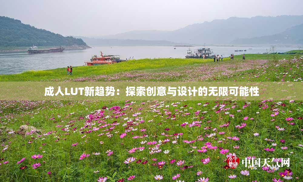 成人LUT新趋势：探索创意与设计的无限可能性