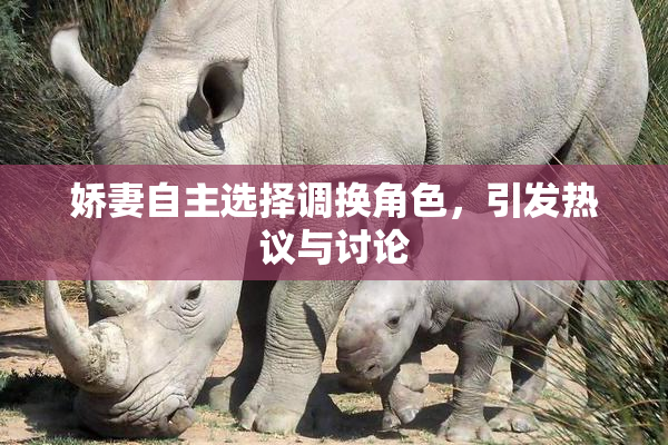 娇妻自主选择调换角色，引发热议与讨论