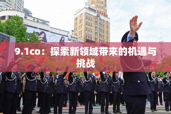 9.1co：探索新领域带来的机遇与挑战