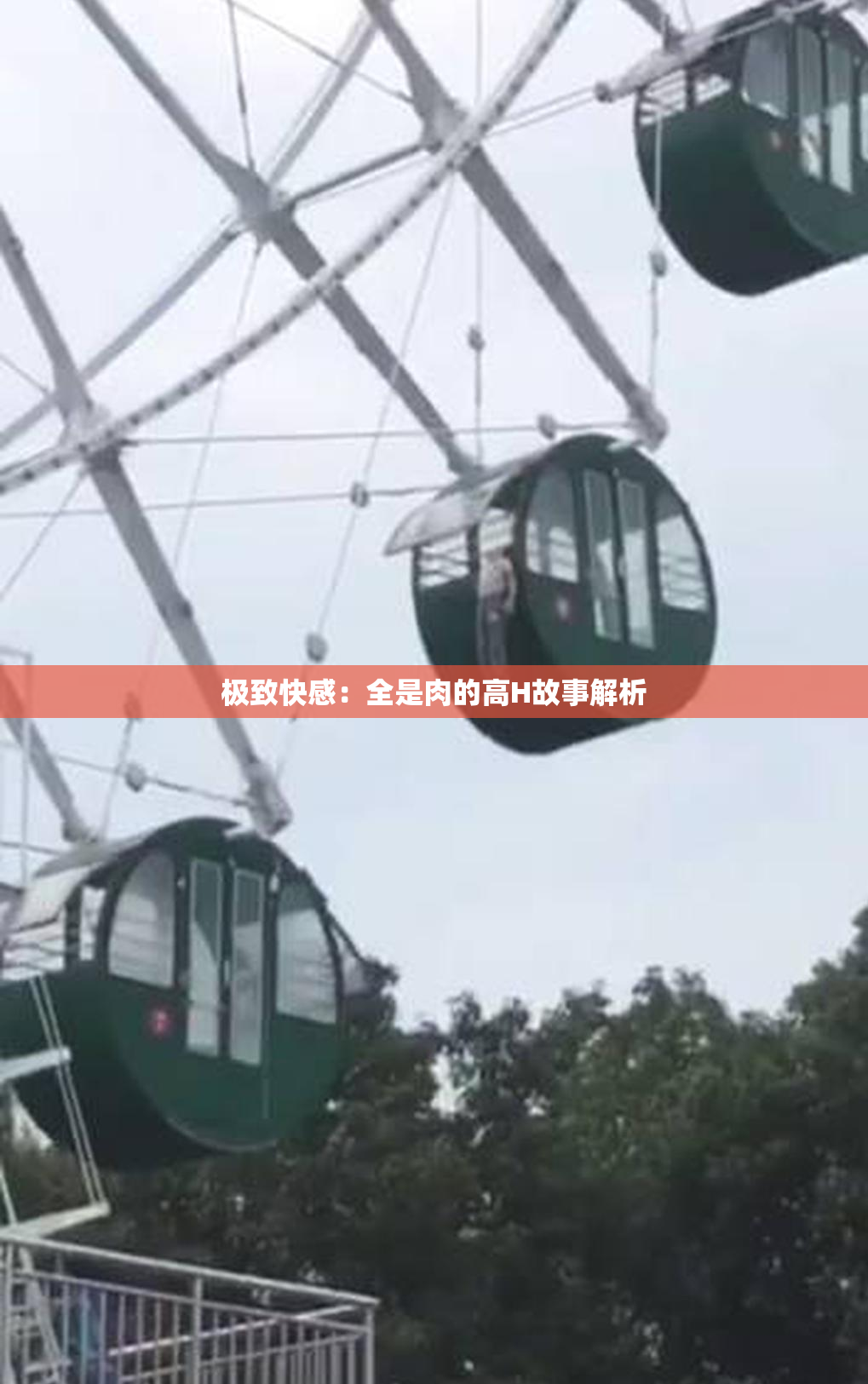 极致快感：全是肉的高H故事解析