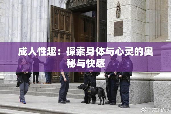 成人性趣：探索身体与心灵的奥秘与快感