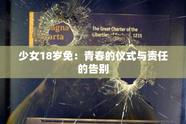 少女18岁免：青春的仪式与责任的告别
